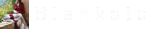 codecanyon